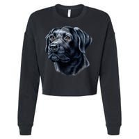 Black Lab Cropped Pullover Crew
