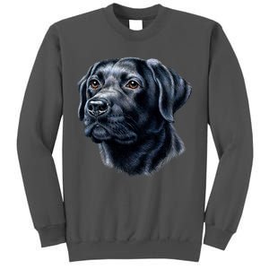 Black Lab Tall Sweatshirt