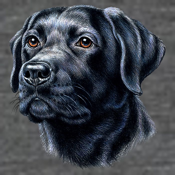 Black Lab Womens T-Shirt