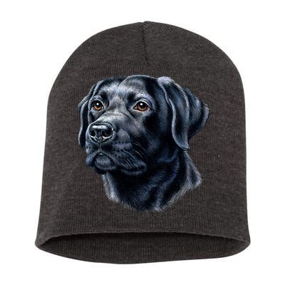Black Lab Short Acrylic Beanie