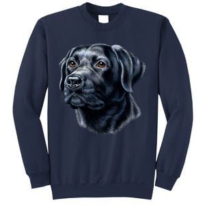 Black Lab Sweatshirt