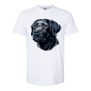 Black Lab Softstyle CVC T-Shirt