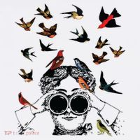 Bird Lover Womens T-Shirt
