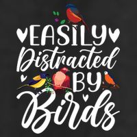 Bird Lovers Birdwatching Easy Distracted By Birds Birder 7 Panel Mesh Trucker Snapback Hat