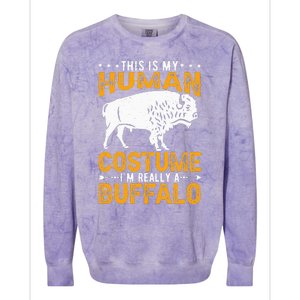 Buffalo Lover Bison Colorblast Crewneck Sweatshirt