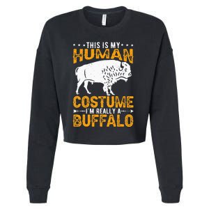 Buffalo Lover Bison Cropped Pullover Crew