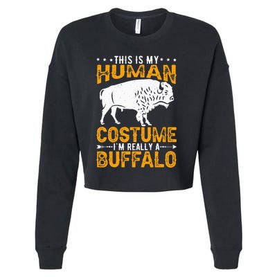 Buffalo Lover Bison Cropped Pullover Crew