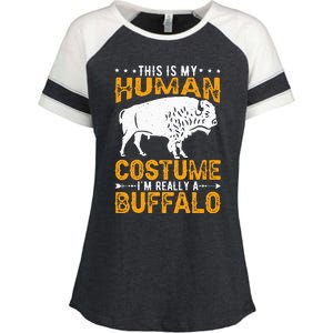 Buffalo Lover Bison Enza Ladies Jersey Colorblock Tee