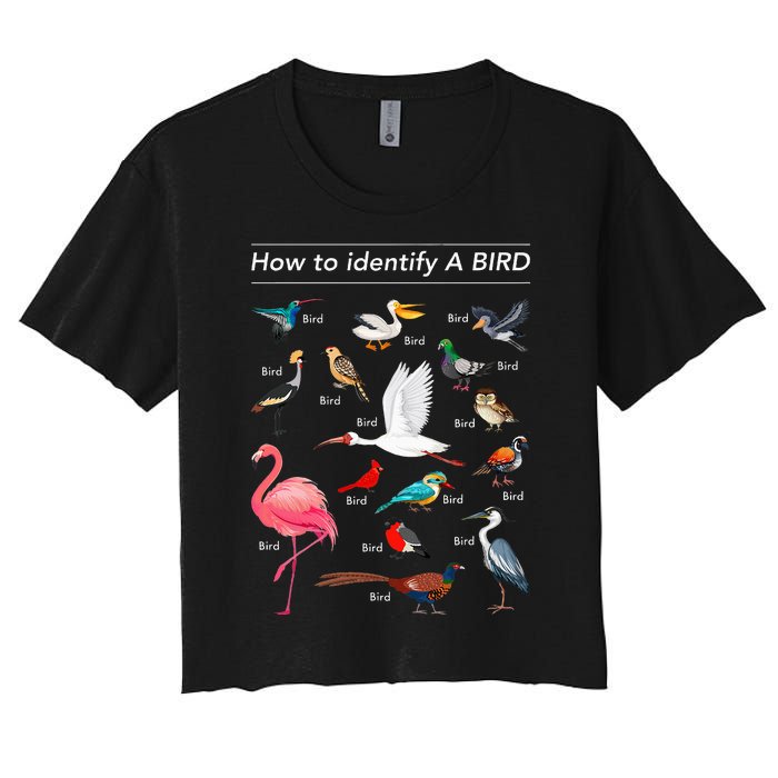 Birdwatcher Lover Birdwatching How To Identify A Bird Women's Crop Top Tee