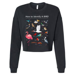 Birdwatcher Lover Birdwatching How To Identify A Bird Cropped Pullover Crew