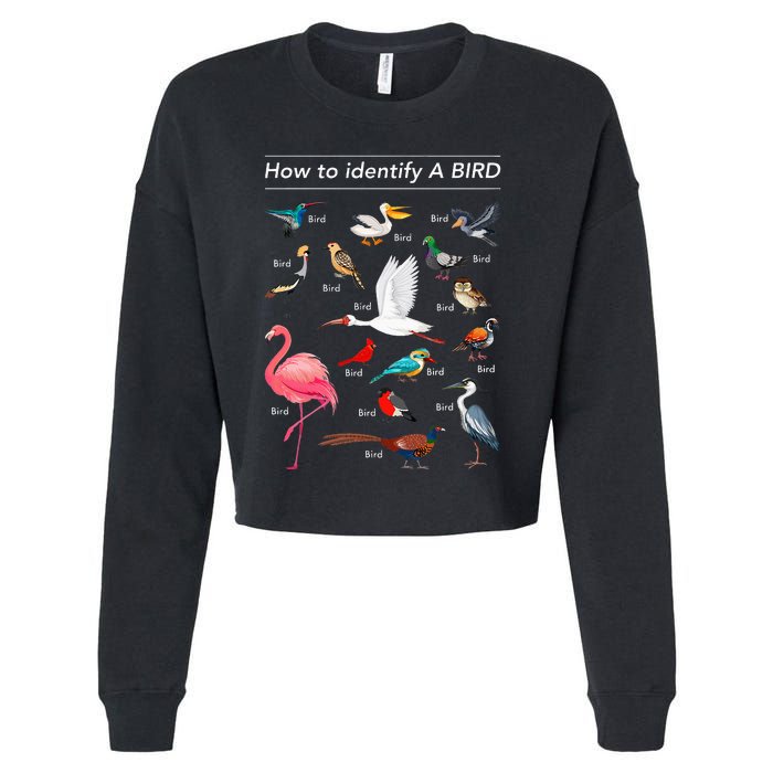 Birdwatcher Lover Birdwatching How To Identify A Bird Cropped Pullover Crew