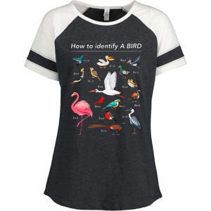 Birdwatcher Lover Birdwatching How To Identify A Bird Enza Ladies Jersey Colorblock Tee