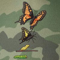 Butterfly Lifecycle Legacy Tie Dye Trucker Hat
