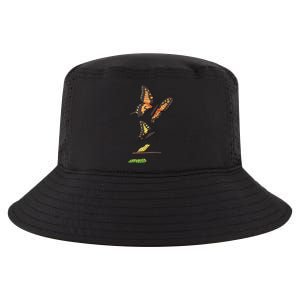 Butterfly Lifecycle Cool Comfort Performance Bucket Hat