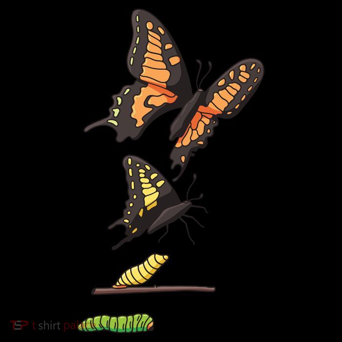 Butterfly Lifecycle Impact Tech Backpack