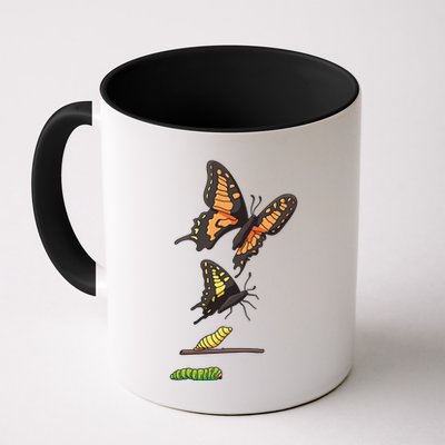 Butterfly Lifecycle Mug