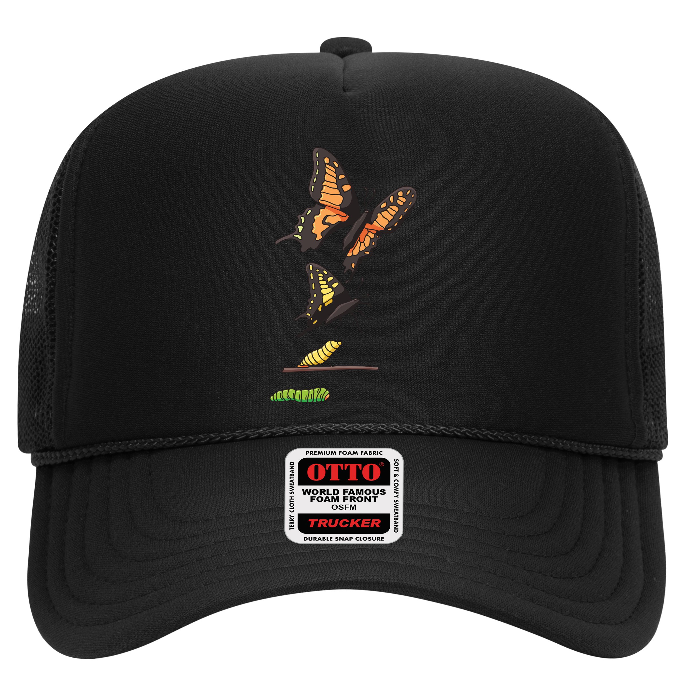 Butterfly Lifecycle Hat