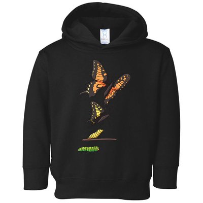 Butterfly Lifecycle Toddler Hoodie