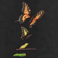 Butterfly Lifecycle Golf Towel