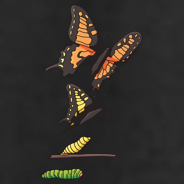 Butterfly Lifecycle Golf Towel