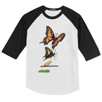 Butterfly Lifecycle Kids Colorblock Raglan Jersey