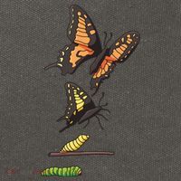 Butterfly Lifecycle Cotton Canvas Backpack
