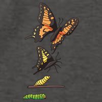 Butterfly Lifecycle Vector Backpack