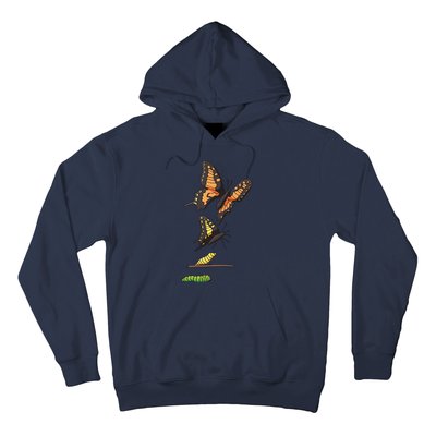 Butterfly Lifecycle Hoodie