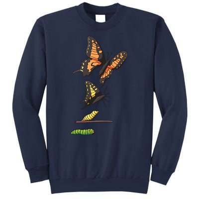 Butterfly Lifecycle Sweatshirt