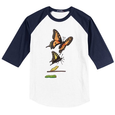 Butterfly Lifecycle Baseball Sleeve Shirt