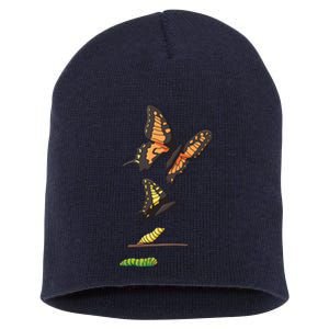 Butterfly Lifecycle Short Acrylic Beanie