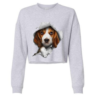 Beagle Lover, Beagle Puppy, Beagle Owner, Beagle Cropped Pullover Crew