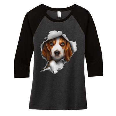 Beagle Lover, Beagle Puppy, Beagle Owner, Beagle Women's Tri-Blend 3/4-Sleeve Raglan Shirt