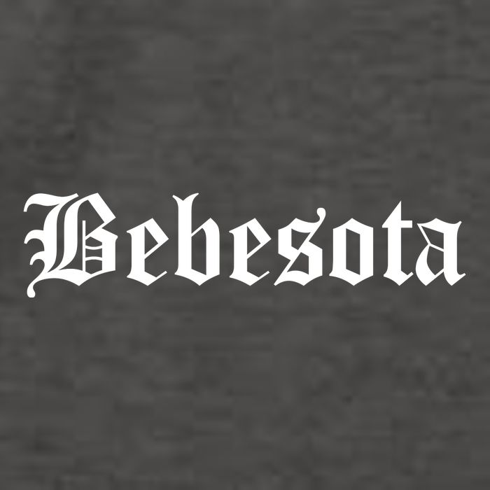 Bebesota Latina Vector Backpack