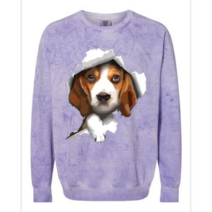 Beagle Lover Beagle Puppy Beagle Owner Beagle Colorblast Crewneck Sweatshirt