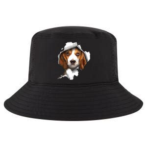 Beagle Lover Beagle Puppy Beagle Owner Beagle Cool Comfort Performance Bucket Hat