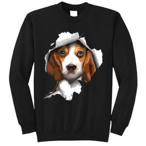 Beagle Lover Beagle Puppy Beagle Owner Beagle Tall Sweatshirt