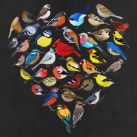 Birds Love Bird Watching Birder Nerd Wildlife Birdwatcher Cool Comfort Performance Bucket Hat