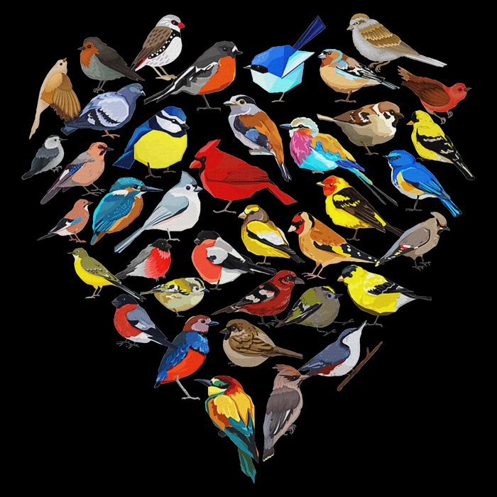 Birds Love Bird Watching Birder Nerd Wildlife Birdwatcher Drawstring Bag