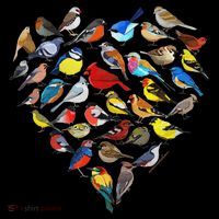 Birds Love Bird Watching Birder Nerd Wildlife Birdwatcher Youth Performance Sprint T-Shirt