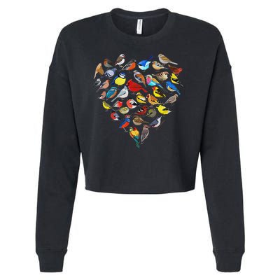 Birds Love Bird Watching Birder Nerd Wildlife Birdwatcher Cropped Pullover Crew