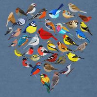 Birds Love Bird Watching Birder Nerd Wildlife Birdwatcher Garment-Dyed Sweatshirt