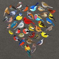 Birds Love Bird Watching Birder Nerd Wildlife Birdwatcher Cotton Canvas Backpack