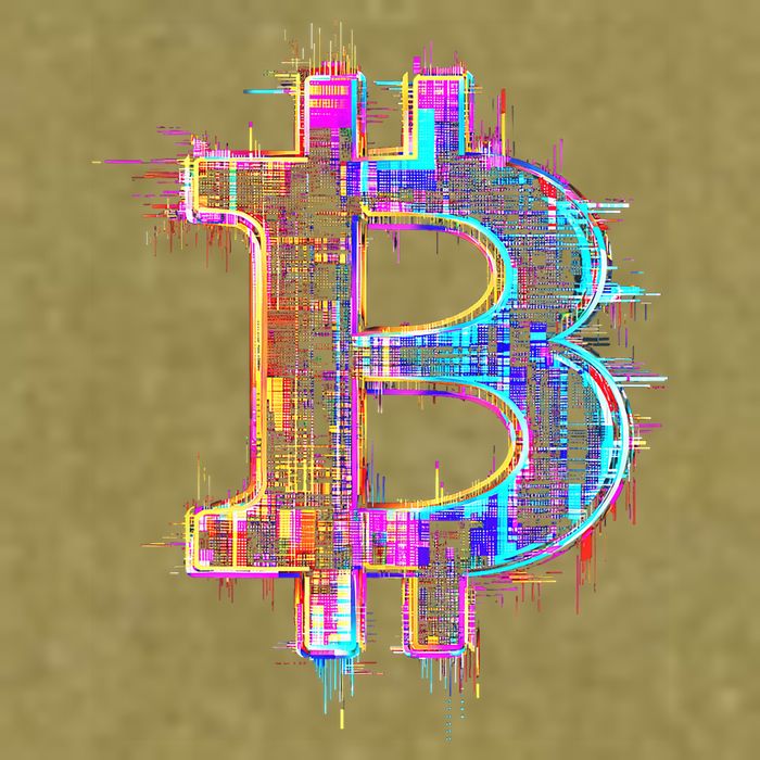 Bitcoin Logo Crypto Trader Investor Cryptocurrency Btc Garment-Dyed Women's Muscle Tee