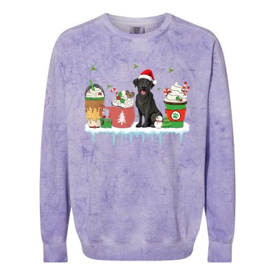 Black Lab Coffee Latte Winter Christmas Dog Mom Holiday Colorblast Crewneck Sweatshirt