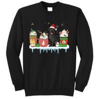 Black Lab Coffee Latte Winter Christmas Dog Mom Holiday Tall Sweatshirt