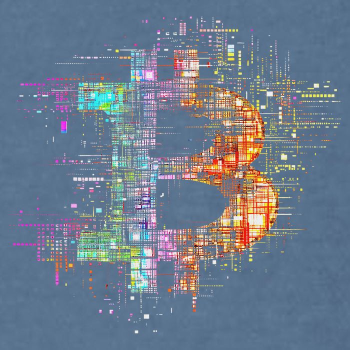 Bitcoin Logo Crypto Trader Investor Cryptocurrency Btc Garment-Dyed Sweatshirt