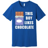 Boy Likes Chocolate Funny Dark Chocolate Lover Gift Premium T-Shirt