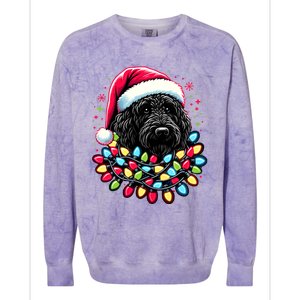 Black Labradoodle Christmas Tree Xmas Lights Doodle Dog Colorblast Crewneck Sweatshirt