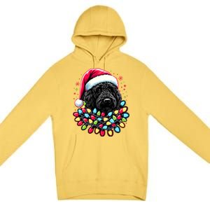 Black Labradoodle Christmas Tree Xmas Lights Doodle Dog Premium Pullover Hoodie